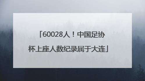 60028人！中国足协杯上座人数纪录属于大连