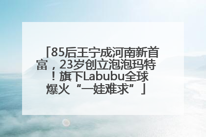 85后王宁成河南新首富，23岁创立泡泡玛特！旗下Labubu全球爆火“一娃难求”