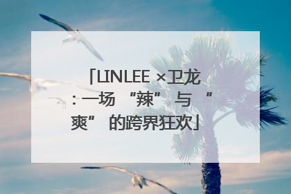 LINLEE ×卫龙：一场 “辣” 与 “爽” 的跨界狂欢