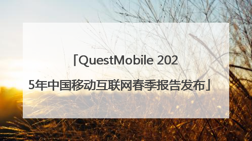 QuestMobile 2025年中国移动互联网春季报告发布