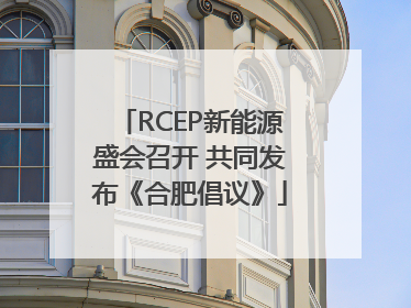 RCEP新能源盛会召开 共同发布《合肥倡议》