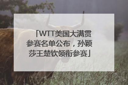 WTT美国大满贯参赛名单公布，孙颖莎王楚钦领衔参赛